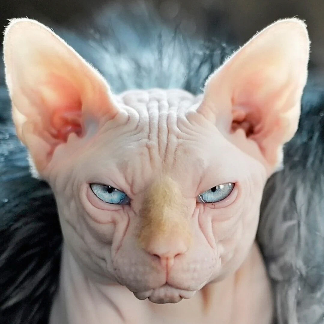 LunarGhost