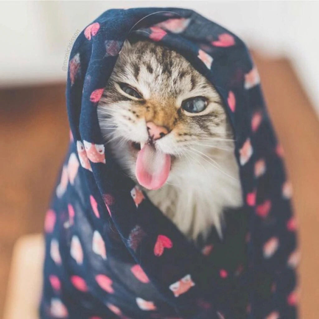 Mystic Tiger