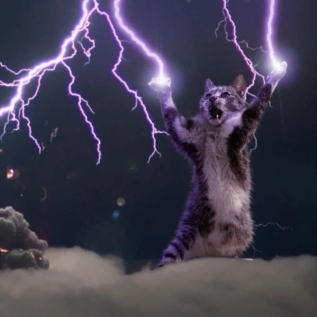 Thunder Cat
