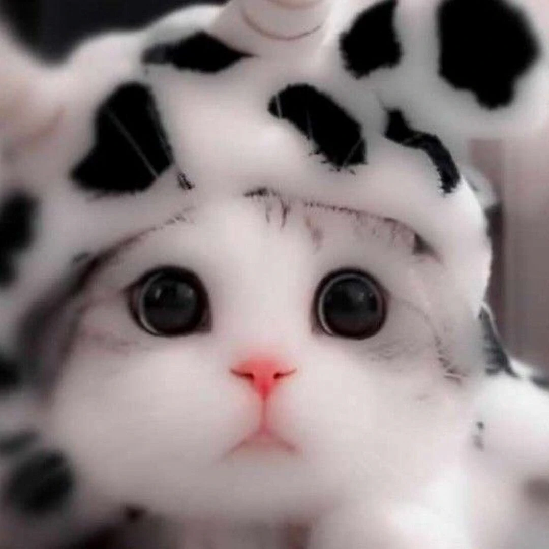 GhostPixel